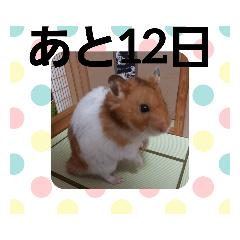 [LINEスタンプ] ハムスターとデグーのカウントダウン