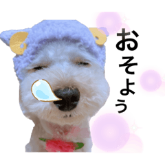 [LINEスタンプ] あんずちゃん 2