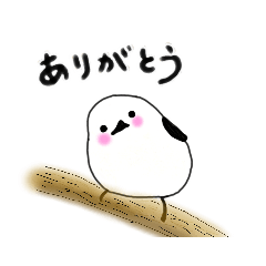 [LINEスタンプ] しまえなが さん