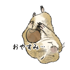 [LINEスタンプ] みんなのリチャードソンジリス【とろろ編】