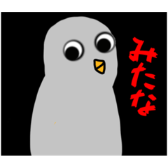 [LINEスタンプ] 見てられる鳥のスタンプ