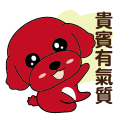 [LINEスタンプ] プードルの毎日がとてもかわいい