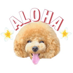 [LINEスタンプ] ALOHA MOANA♡
