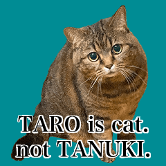 [LINEスタンプ] TARO is cat. not TANUKI.