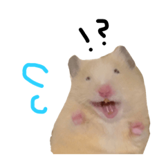 [LINEスタンプ] モヨシさん