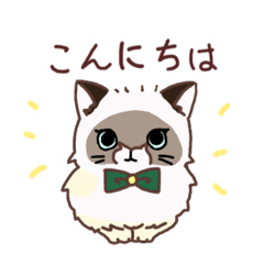 [LINEスタンプ] 主張するラグドール  ルネ