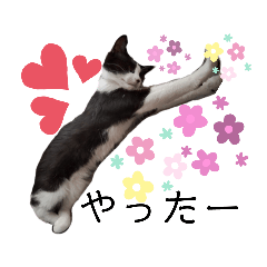 [LINEスタンプ] 小春びより4