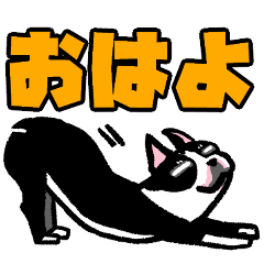 [LINEスタンプ] ボストンテリア（よく使う言葉）