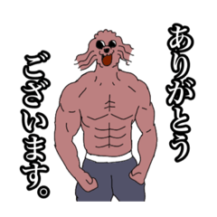 [LINEスタンプ] マッチョマンプードル