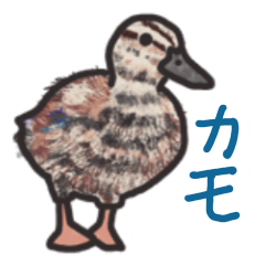 [LINEスタンプ] ベビーカモ says