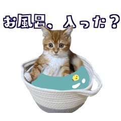 [LINEスタンプ] ぷりちゃんスタンプつー