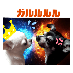 [LINEスタンプ] 我が家の犬たち 7