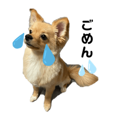 [LINEスタンプ] ぽんた♡