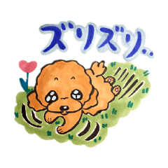 [LINEスタンプ] トイプードルたあちゃんの日常