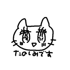 [LINEスタンプ] 敬語のシロネコちゃん