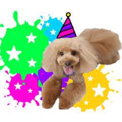 [LINEスタンプ] ぽむぽむ♡