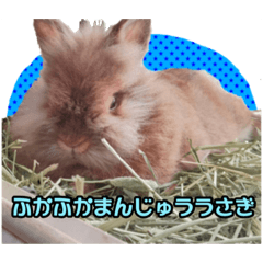 [LINEスタンプ] かわいいぽんぴのぷうスタンプ
