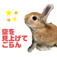 [LINEスタンプ] キラキラboyむぎ太のお言葉
