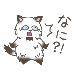 [LINEスタンプ] おひげネコ 間を埋めるスタンプ