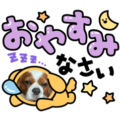 [LINEスタンプ] 家の愛犬は神