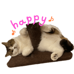 [LINEスタンプ] りーとすー