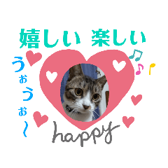 [LINEスタンプ] 小春びより5