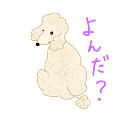 [LINEスタンプ] ふわふわプードルの日常会話ver.