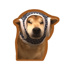 [LINEスタンプ] 柴犬フクくん