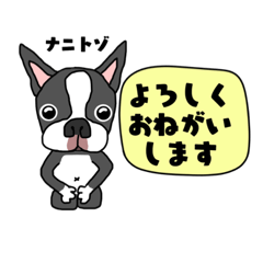 [LINEスタンプ] ボストンテリアのいろいろスタンプ