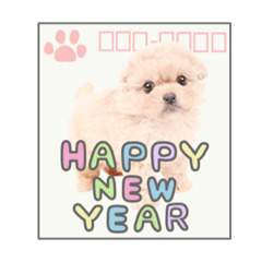 [LINEスタンプ] うちのコStampお正月A