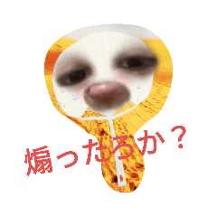 [LINEスタンプ] 自撮り使いやすいスタンプ！