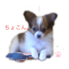 [LINEスタンプ] かわいいハッピーの日常♡