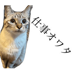 [LINEスタンプ] ゆずおとだらけ②
