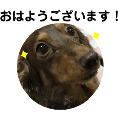 [LINEスタンプ] 使いやすいクレアスタンプ！