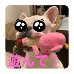 [LINEスタンプ] Tちゃん！！スタンプ！！