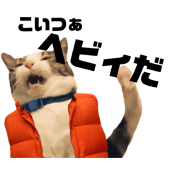 [LINEスタンプ] 猫のぐりの使い勝手良さげでそうでもない 3