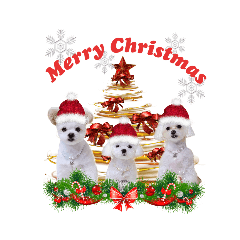 [LINEスタンプ] 仲良し3ワンコのクリスマススタンプ♡