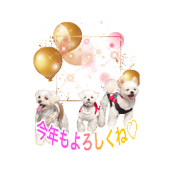 [LINEスタンプ] 仲良し3ワンコの年末年始のご挨拶スタンプ