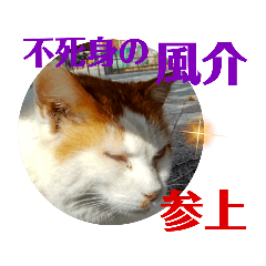 [LINEスタンプ] 小春びより6
