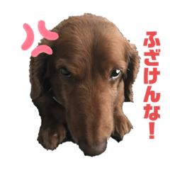 [LINEスタンプ] ぶぶぞぅb