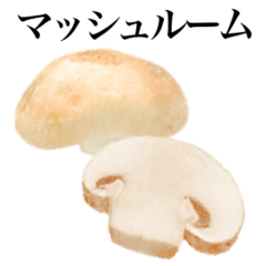 [LINEスタンプ] マッシュルーム です きのこの画像（メイン）