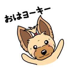 [LINEスタンプ] 蓮(ヨーキー)のスタンプ