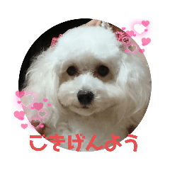 [LINEスタンプ] ひなたちゃん第2弾