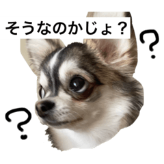 [LINEスタンプ] ロンじろうスタンプ