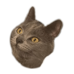 [LINEスタンプ] Lulu Pumpkinhead 5