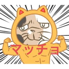 [LINEスタンプ] 日常にも使えるブサカワねこのスタンプ