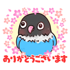 [LINEスタンプ] ぶーちゃんと天ちゃん