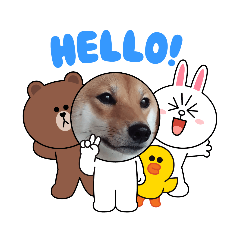 [LINEスタンプ] 柴犬のつくし【LINEコラボ】