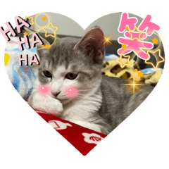[LINEスタンプ] りんご屋さんのアイドル4