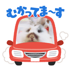 [LINEスタンプ] うさカフェりび〜全員集合④〜